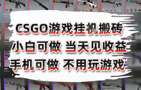 CSGO游戏挂G搬砖，小白纯手机即可操作，不用电脑打游戏，日入3张+，副业网创项目【揭秘】-财兔窝项目网