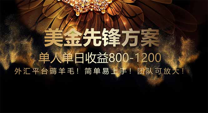 免费技术！小众赛道！一年布局抵三年努力，每日800+-财兔窝项目网