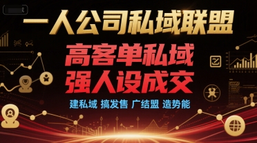一人公司私域联盟，高客单私域，强人设成交，建私域 搞发售 广结盟 造势能-财兔窝项目网