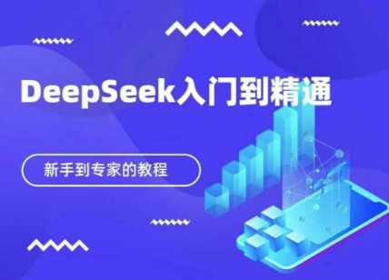 DeepSeek快速从入门到精通，新手的保姆级教程-财兔窝项目网