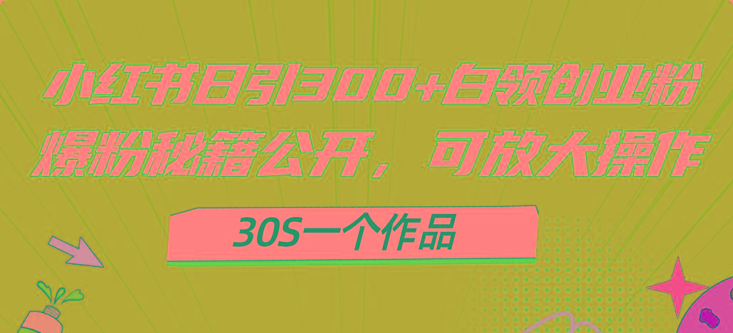 小红书日引300+高质白领创业粉，可放大操作，爆粉秘籍！30s一个作品-财兔窝项目网