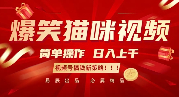 爆笑猫咪视频：简单操作，日入过K，视频号搞钱新策略【揭秘】-财兔窝项目网