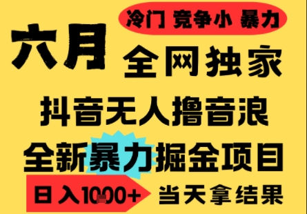 25年6月高爆抖音无人直播最新撸音浪掘金项目，小白可做，无脑日入1k+，门槛低可批量矩阵【揭秘】-财兔窝项目网