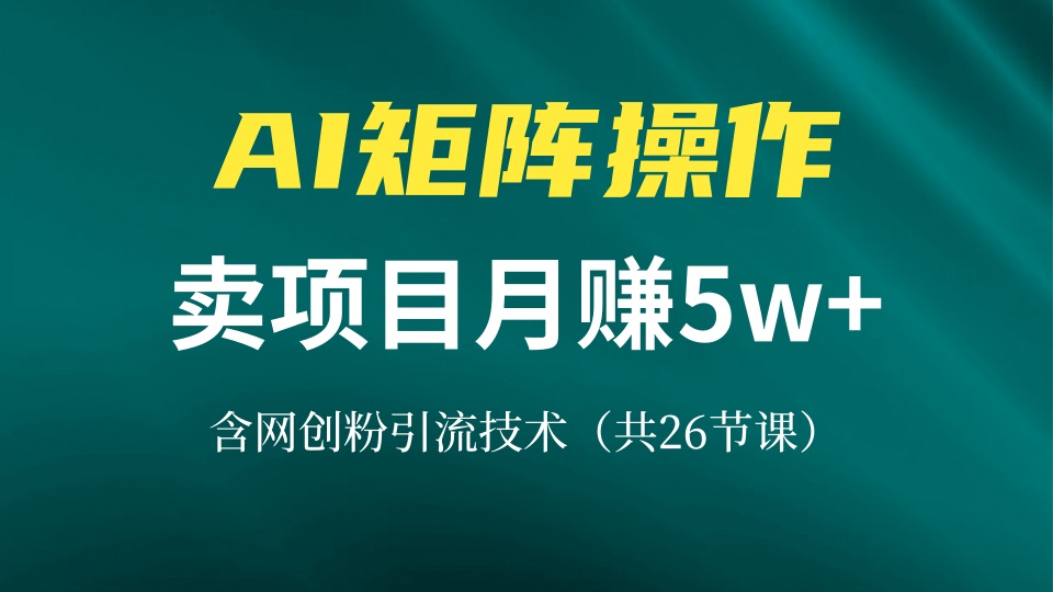 网创IP打造课，借助AI卖项目月赚5万+，含引流技术(共26节课-财兔窝项目网