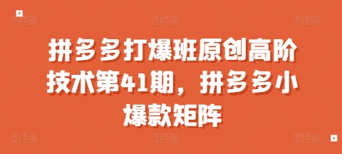 拼多多打爆班原创高阶技术第41期，拼多多小爆款矩阵-财兔窝项目网