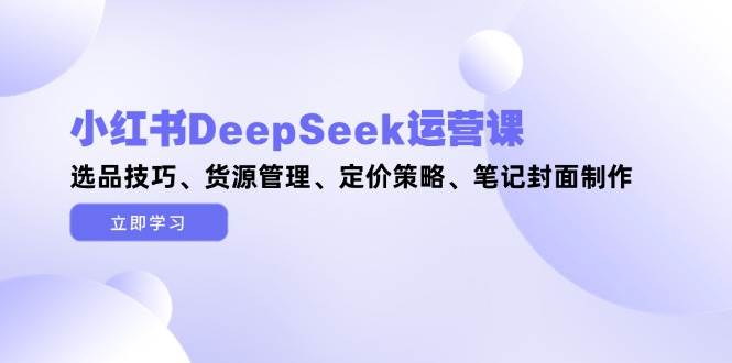 小红书DeepSeek运营课，选品技巧、货源管理、定价策略、笔记封面制作-财兔窝项目网