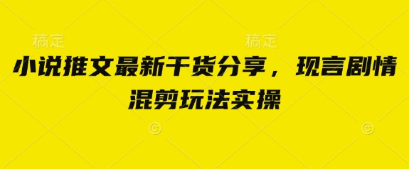 小说推文最新干货分享，现言剧情混剪玩法实操-财兔窝项目网