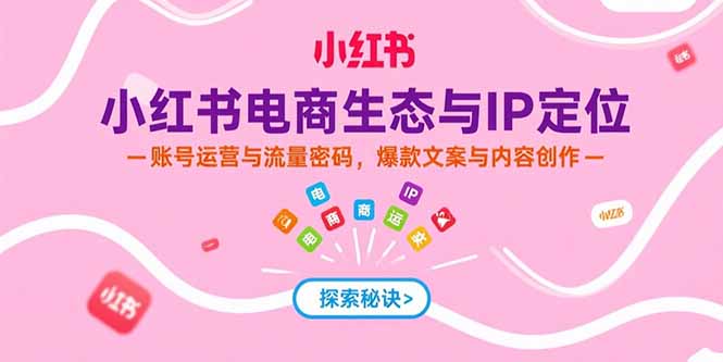 小红书电商生态与IP定位，账号运营与流量密码，爆款文案与内容创作-财兔窝项目网