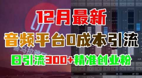 12月最新：音频平台0成本引流，日引流300+精准创业粉-财兔窝项目网