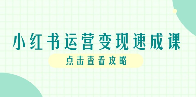 小红书运营变现速成课，账号搭建到暴力起号，个人IP全流程指南-财兔窝项目网