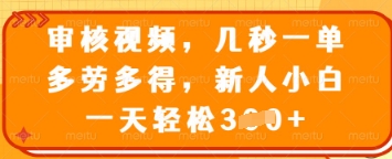 审核视频，几秒一单，多劳多得，新人小白一天轻松3张【揭秘】-财兔窝项目网