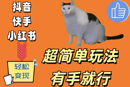 超简单玩法，有手就行，靠猫咪视频日入500+【揭秘】-财兔窝项目网