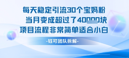 每天稳定引流30个人 当月变成超过了4个W项目流程非常简单适合小白-财兔窝项目网