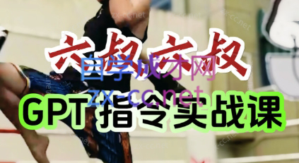 六叔的AI指令实战课(更新7月)-财兔窝项目网