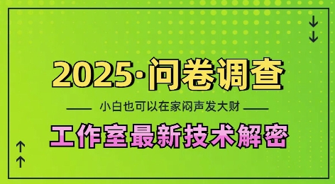 2025问卷调查最新工作室技术解密：一个人在家也可以闷声发大财，小白一天2张，可矩阵放大【揭秘】-财兔窝项目网