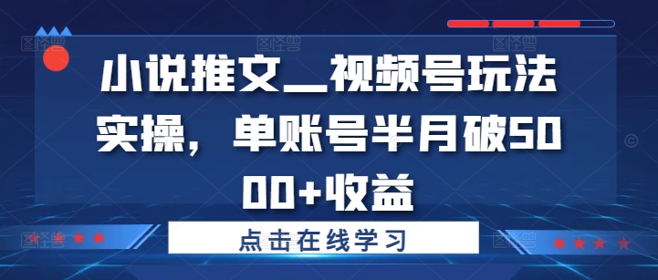 小说推文—视频号玩法实操，单账号半月破5000+收益-财兔窝项目网