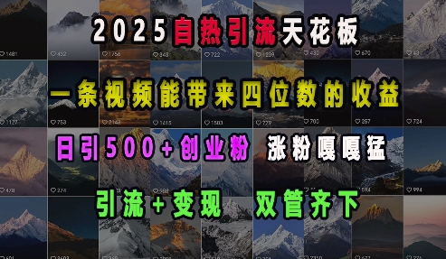 2025自热引流天花板，一条视频能带来四位数的收益，引流+变现双管齐下，日引500+创业粉，涨粉嘎嘎猛-财兔窝项目网