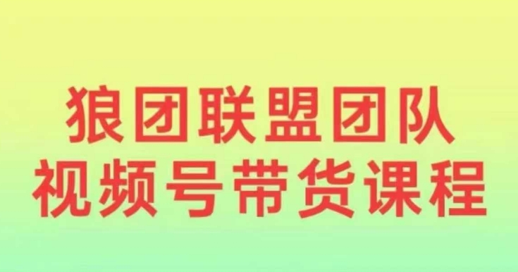 狼团联盟2024视频号带货，0基础小白快速入局视频号-财兔窝项目网