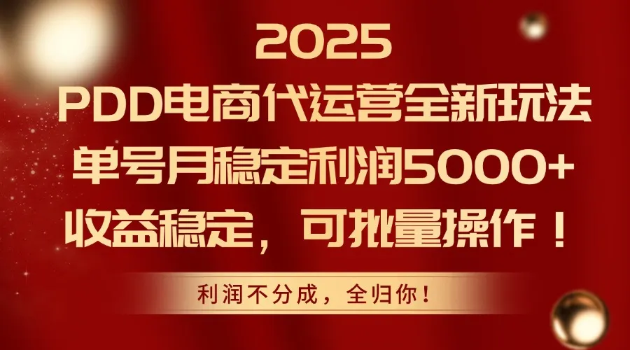 2025PDD电商代运营全新玩法，单号月稳定利润5000+，收益稳定，可批量操作-财兔窝项目网