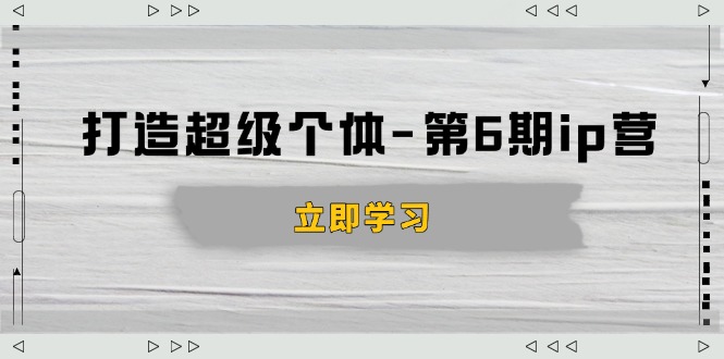 打造 超级个体-第6期ip营：商业认知,产品设计,成交演练,解决知识变现难题-财兔窝项目网