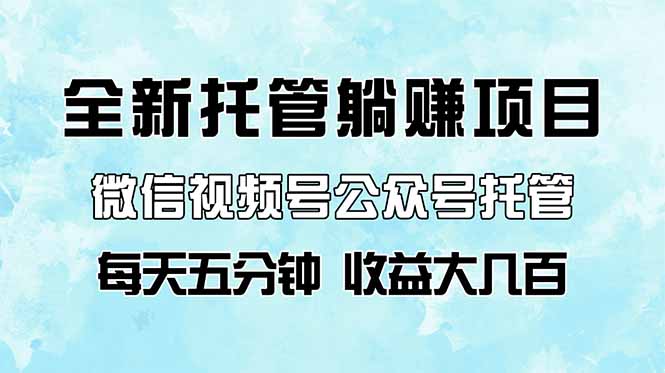 全新托管躺赚项目，微信视频号公众号托管代运营，每天五分钟，收益大几百-财兔窝项目网
