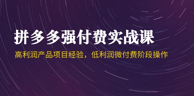 拼多多强付费实战课-44期，高利润产品项目经验，低利润微付费阶段操作-财兔窝项目网