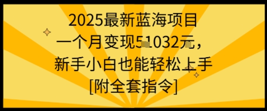 2025最新蓝海项目一个月变现1w+新手小白也能轻松上手【附全套指令】-财兔窝项目网