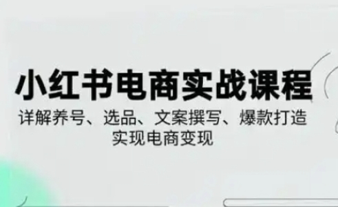 小红书从0-1实操课(2023-2025)，详解养号、选品、文案撰写、爆款打造实现电商变现-财兔窝项目网