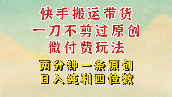 快手黑科技搬运带货，一刀不剪过原创，微付费投流玩法，轻松日入四位数…-财兔窝项目网