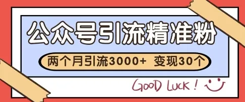 公众号精准粉引流玩法，2个月3000+精准粉，变现30个W【揭秘】-财兔窝项目网