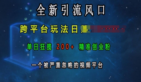 全新引流风口，跨平台玩法日入上k，单日狂揽200+精准创业粉，一个被严重忽略的视频平台-财兔窝项目网