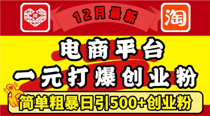 12月最新：电商平台1元打爆创业粉，简单粗暴日引500+精准创业粉，轻松月入过W【揭秘】-财兔窝项目网