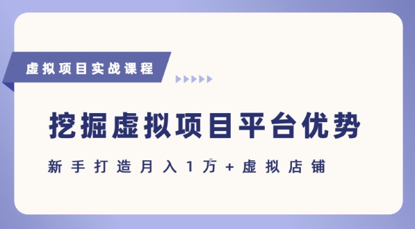 抓住虚拟项目各平台优势，新手轻松月入1W+(给出具体建议)-财兔窝项目网