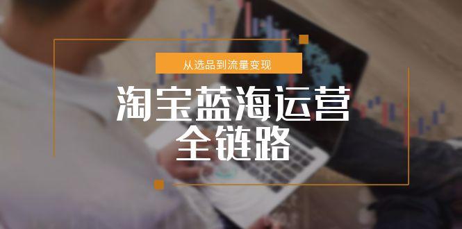 淘宝蓝海运营全链路，从选品到流量变现，小类目突围完整方案-财兔窝项目网