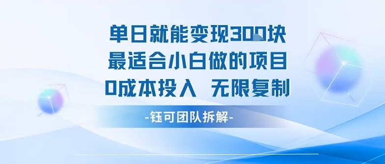单日就能变现3张最适合小白做的项目0成本投入 无限复制-财兔窝项目网