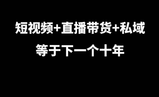 短视频+直播带货+私域等于下一个十年，大佬7年实战经验总结-财兔窝项目网