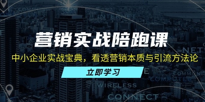营销实战陪跑课：中小企业实战宝典，看透营销本质与引流方法论-财兔窝项目网