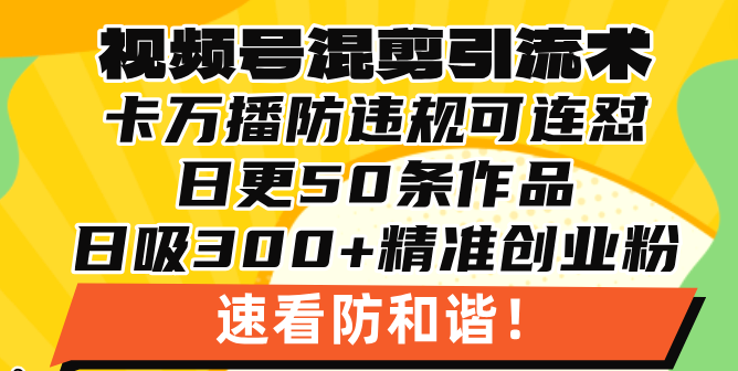 视频号混剪引流技术，500万播放引流17000创业粉，操作简单当天学会-财兔窝项目网