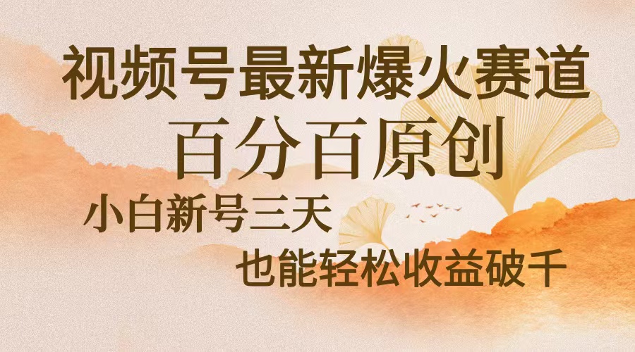 视频号最新爆火赛道，中老年粉深信不疑，百分百原创，新号三天收益轻松…-财兔窝项目网