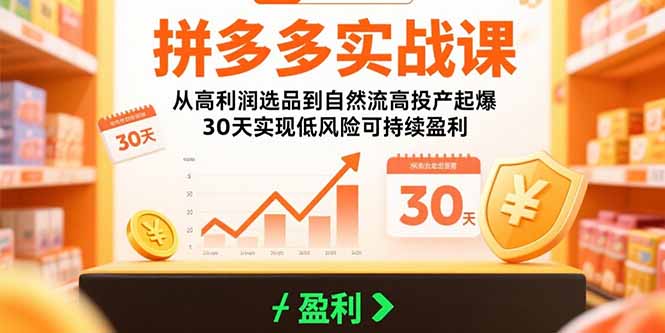 拼多多实战课：从高利润选品到自然流高投产起爆 30天实现低风险可持续盈利-财兔窝项目网