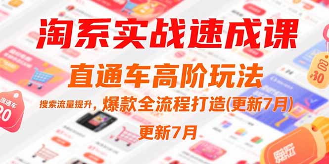 淘系实战速成课，直通车高阶玩法，搜索流量提升，爆款全流程打造(更新7月-财兔窝项目网
