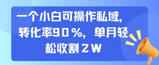 一个小白可操作私域，转化率90%，单月轻松收割2W-财兔窝项目网