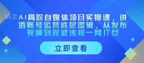 AI高阶自媒体项目实操课，讲透账号运营底层逻辑，从发布视频到规避违规一网打尽-财兔窝项目网