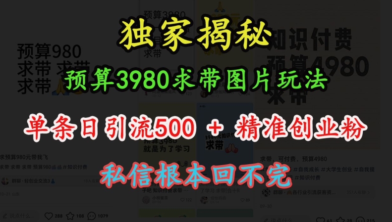 预算3980求带 图片玩法，单条日引流500+精准创业粉，私信根本回不完-财兔窝项目网