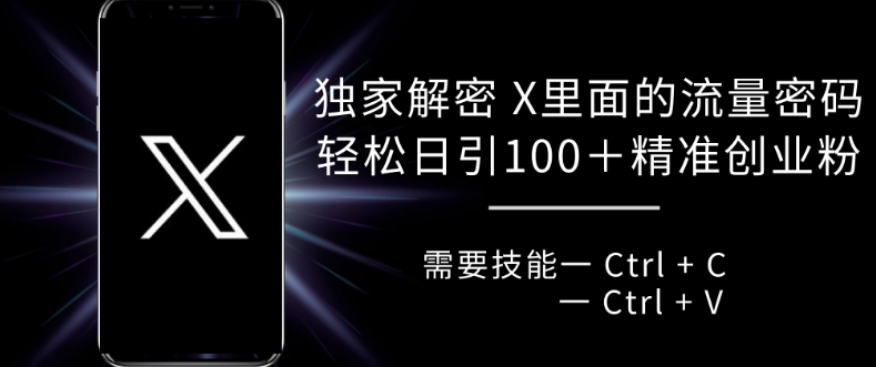 独家解密 X 里面的流量密码，复制粘贴轻松日引100+-财兔窝项目网