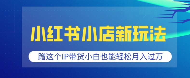 小红书小店新玩法，蹭这个IP带货，小白也能轻松月入过W【揭秘】-财兔窝项目网