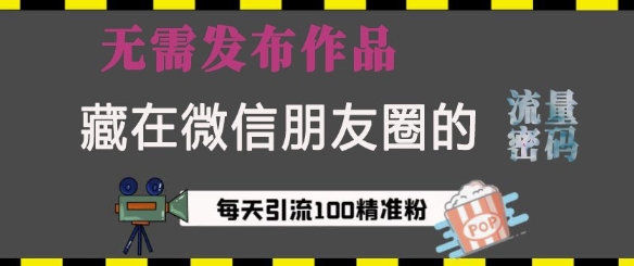 藏在微信朋友圈的流量密码，无需发布作品，单日引流100+精准创业粉【揭秘】-财兔窝项目网