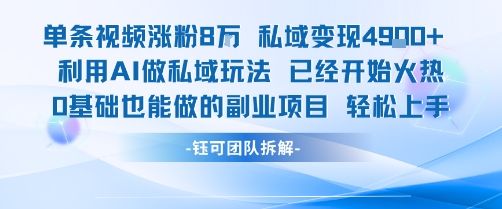 单条视频私域变现4.9k+利用AI做私域玩法 已经开始火热0基础也能做的副业项目轻松上手-财兔窝项目网