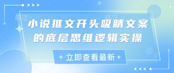 小说推文开头吸睛文案的底层思维逻辑实操-财兔窝项目网