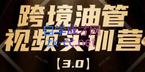 阿蔺Leo·跨境油管视频YouTube实训营(更新2025)-财兔窝项目网